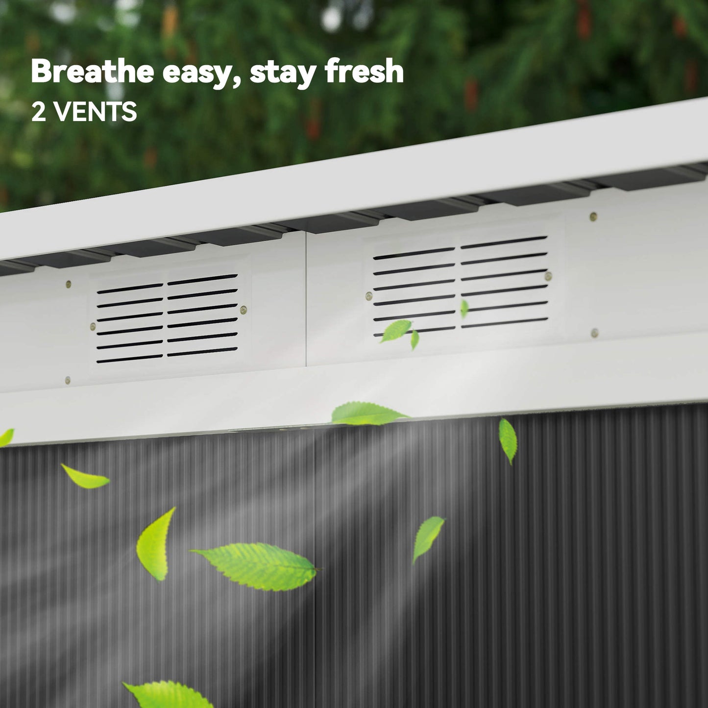 Height Adjustable Portable Basketball Hoop - 30" Backboard