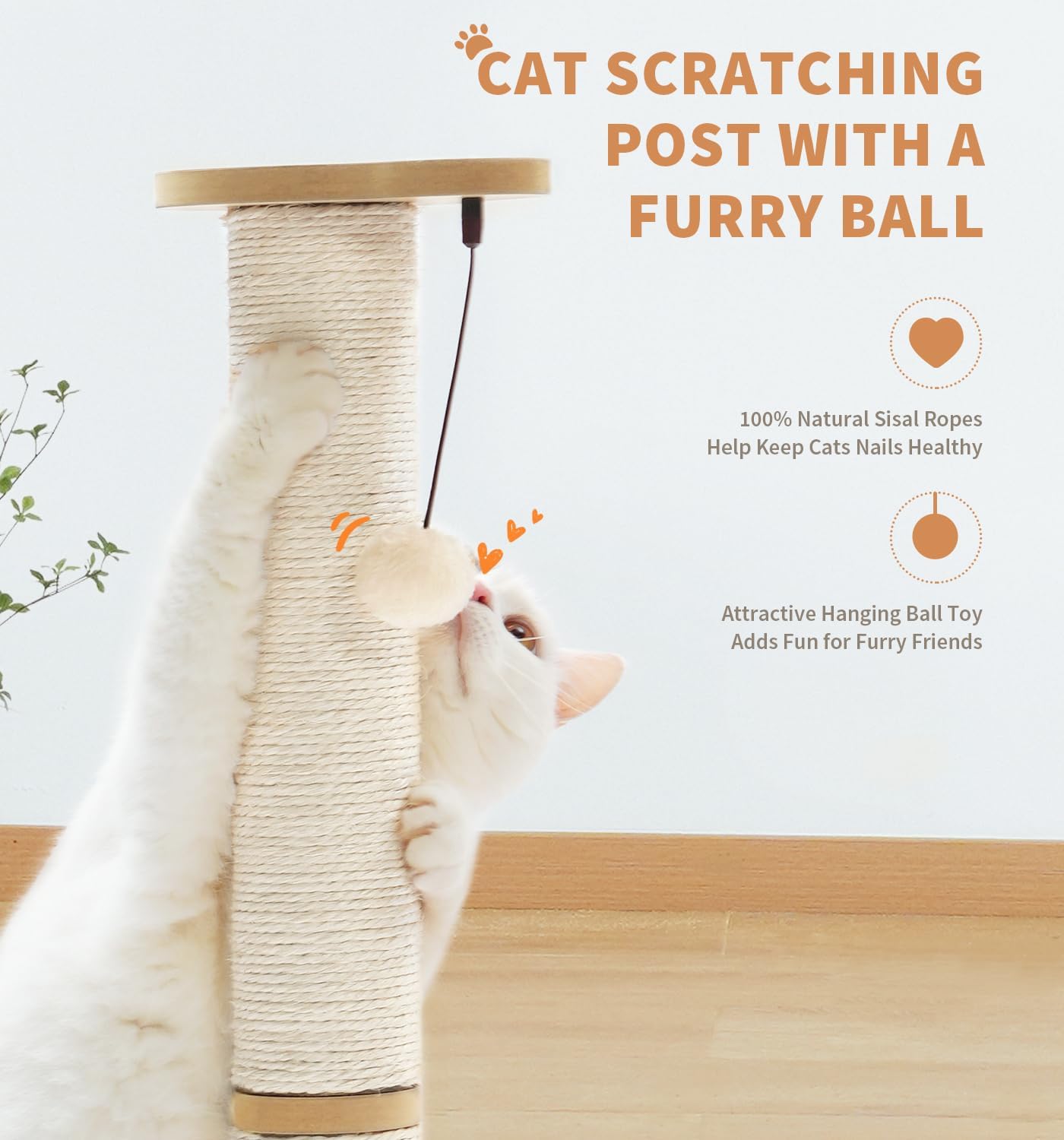 Medium Cat Scratching Post with Interactive Toys and Wooden Ball Lane - Indoor Pet Toy