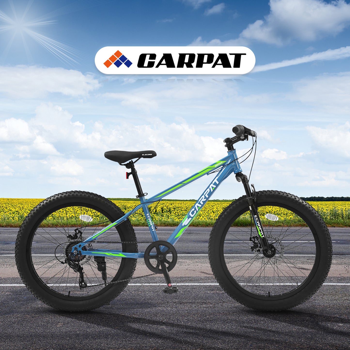 24-Inch Fat Tire Mountain Bike - Full Shimano 7-Speed, Blue & Green