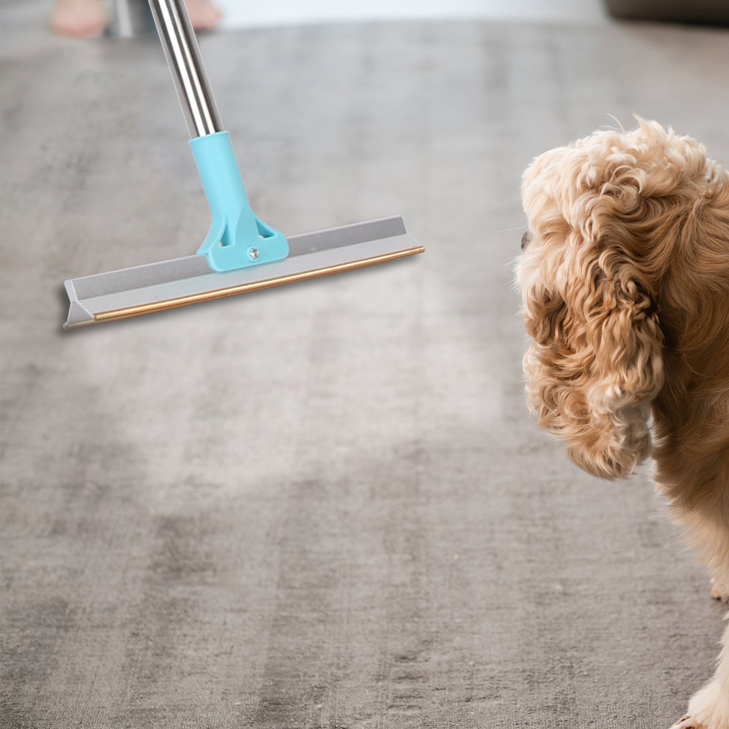 Pet Hair Removal Rake with Adjustable Telescopic Rod - Multi-Fabric Dog & Cat Hair Scraper