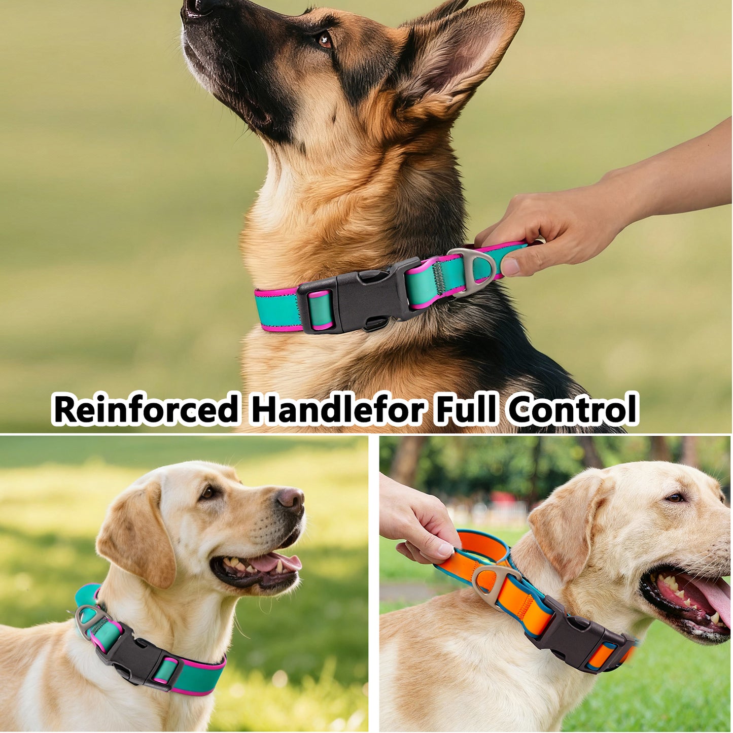 Dog Tactical Collar with Bright Colors Waterproof Wear-Resistant Adjustable Dog Leash