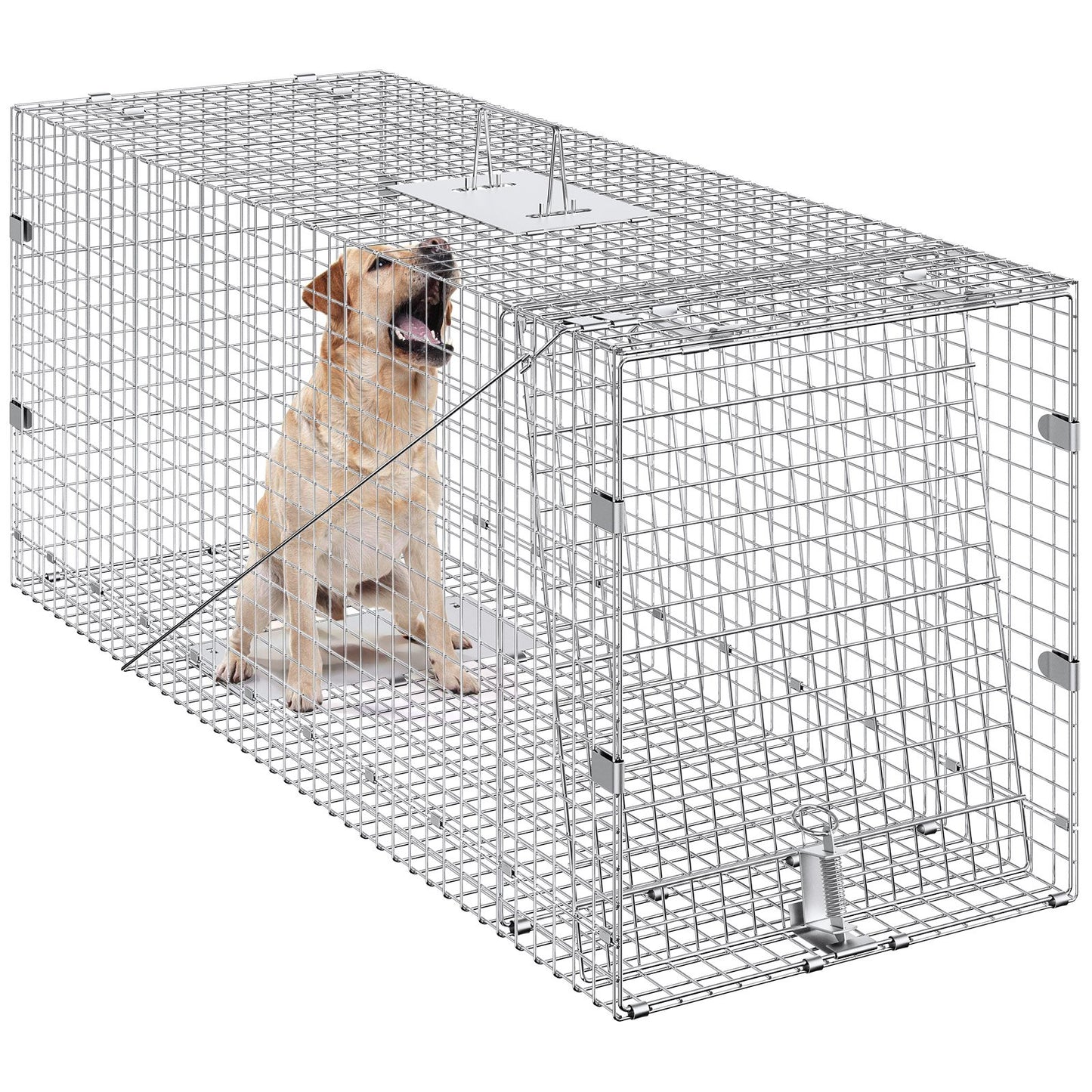 42-Inch Humane Animal Cage Trap for Cats, Stray Dogs, Raccoons, and More