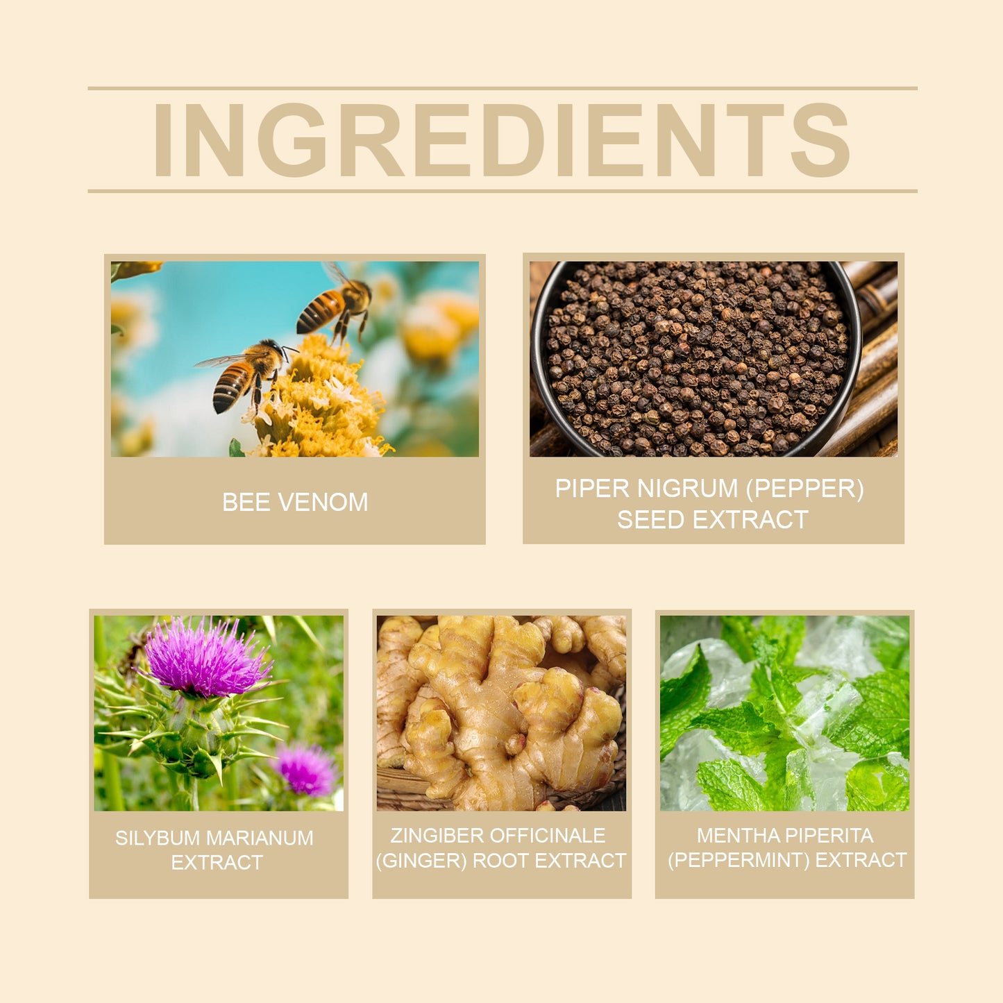 Bee Venom Tummy Slimming Patches - Natural Firming & Sculpting Body Treatment