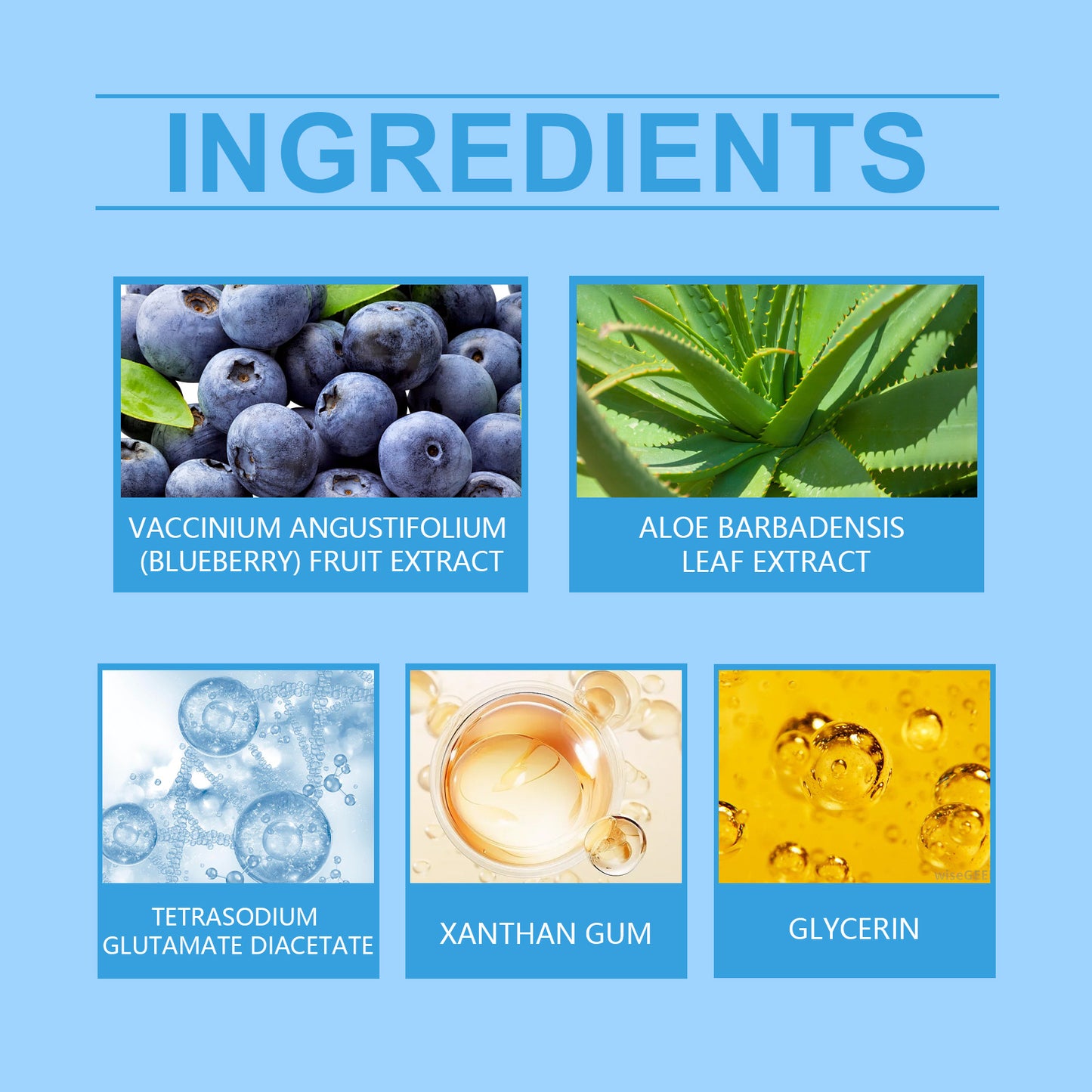 Moisturizing Blueberry Body Gel - Refreshing Oil Control Skin Care