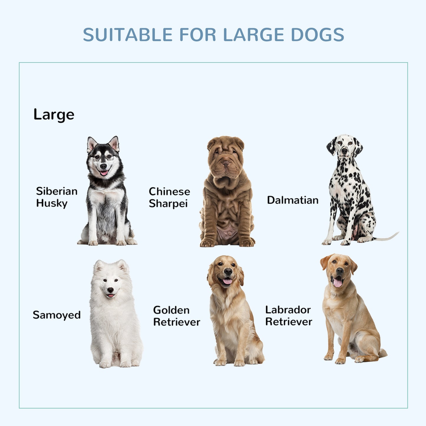 Heavy Duty Dog Crate 36 Inch with Removable Tray & Lockable Wheels for Medium & Large Dogs - Black