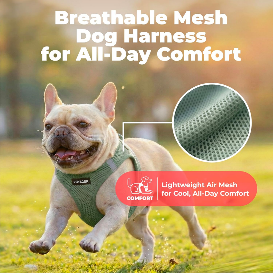 Adjustable Moss Green Dog Harness Medium - Reflective Pet Vest for Walks