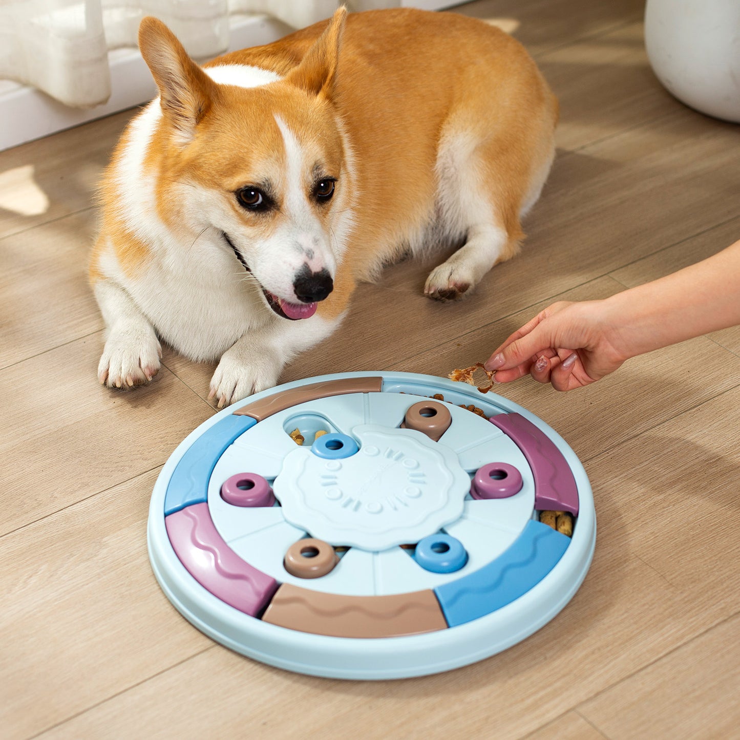 Pet Marvel Interactive Puzzle Dog Toy Level 1-3 Multiple Sizes & Patterns