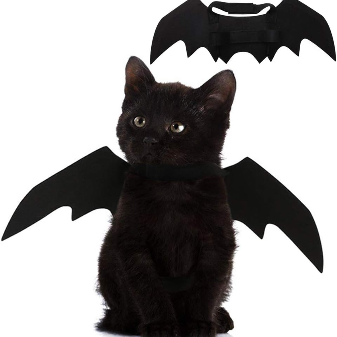 Pet Cat Bat Wings Halloween Costume Accessories - Cute & Lightweight