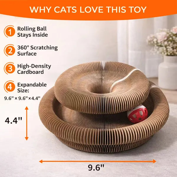 Foldable Cat Scratcher Toy with Ball - Interactive Kitty Play & Rest Bed
