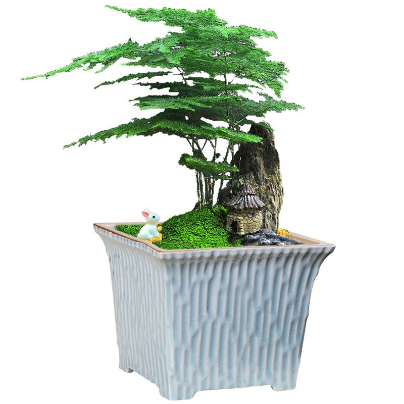 Ceramic Succulent Flowerpot with Ge Kiln Design for Indoor & Outdoor Plants