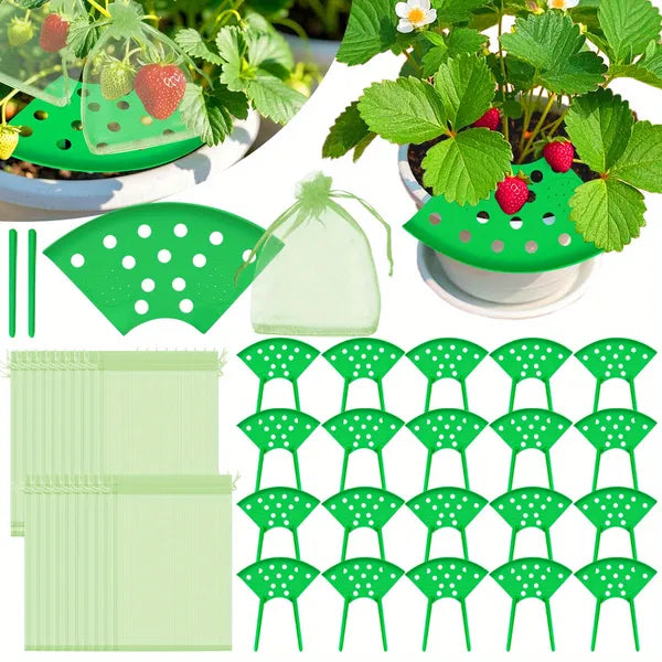 8-Piece Strawberry Planting Kit with Supports & Insect-Proof Bags