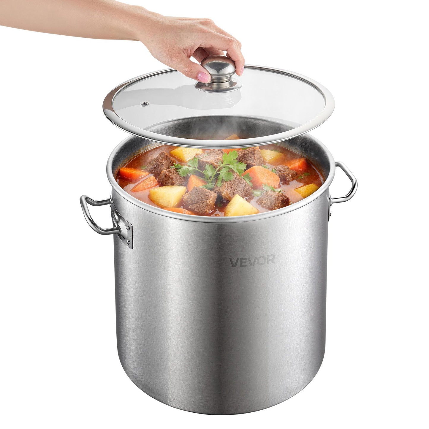 21-Quart Stainless Steel Stock Pot with Glass Lid for Soups, Stews & Pasta
