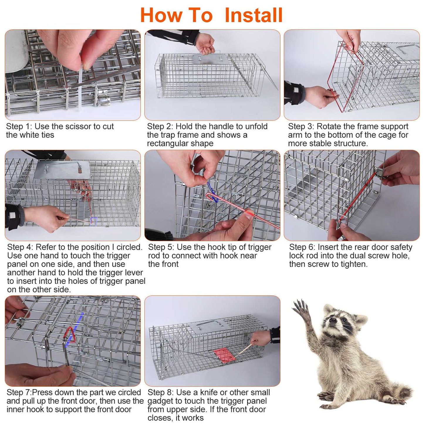 Humane Live Animal Trap Cage - Collapsible Wire for Small Animals