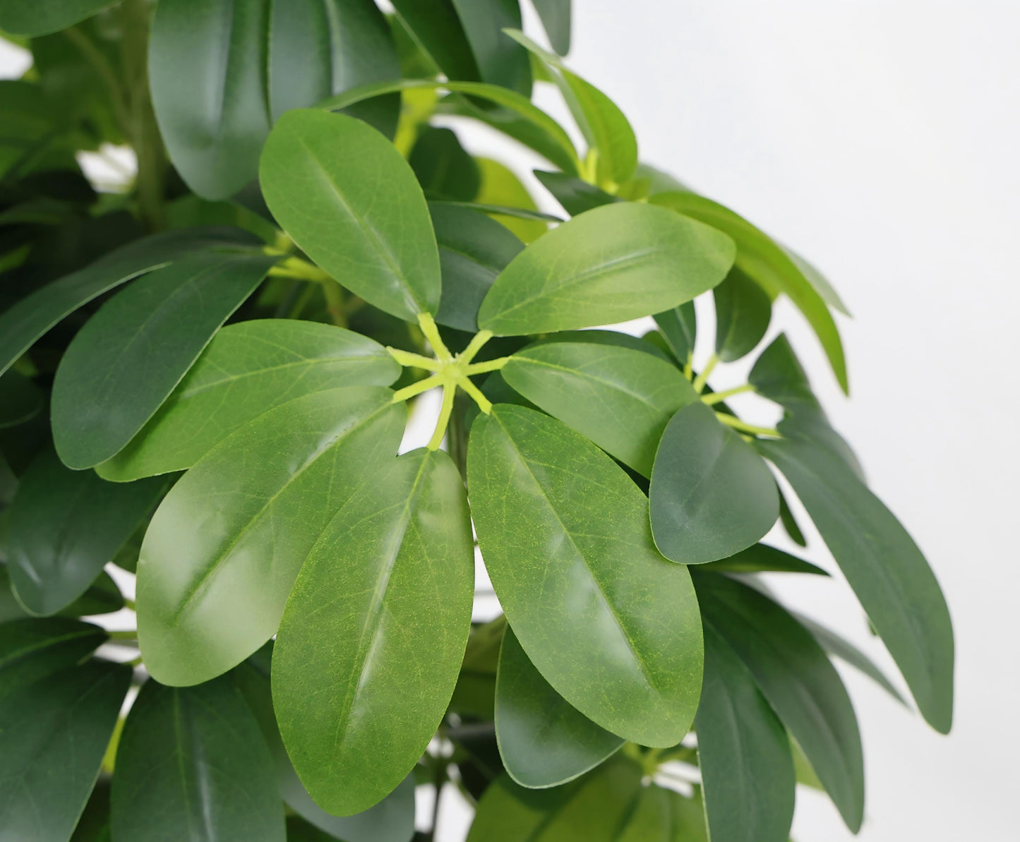 6FT Realistic Artificial Tree for Indoor & Outdoor Decoration