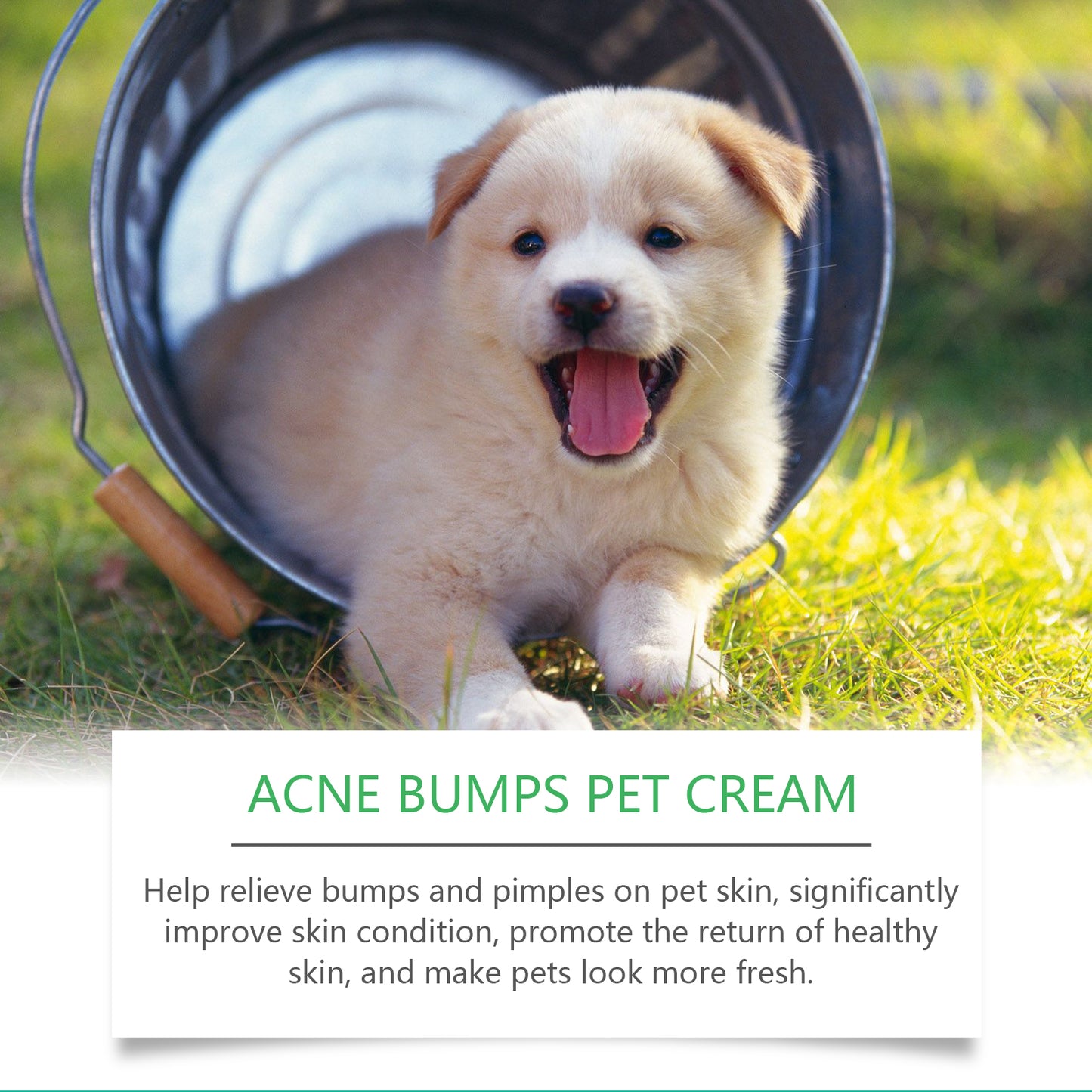 Pet Acne & Bumps Skin Cream for Dogs & Cats - Soothing Skin Relief with Calendula & Ganoderma Extract - Set of 1 Box