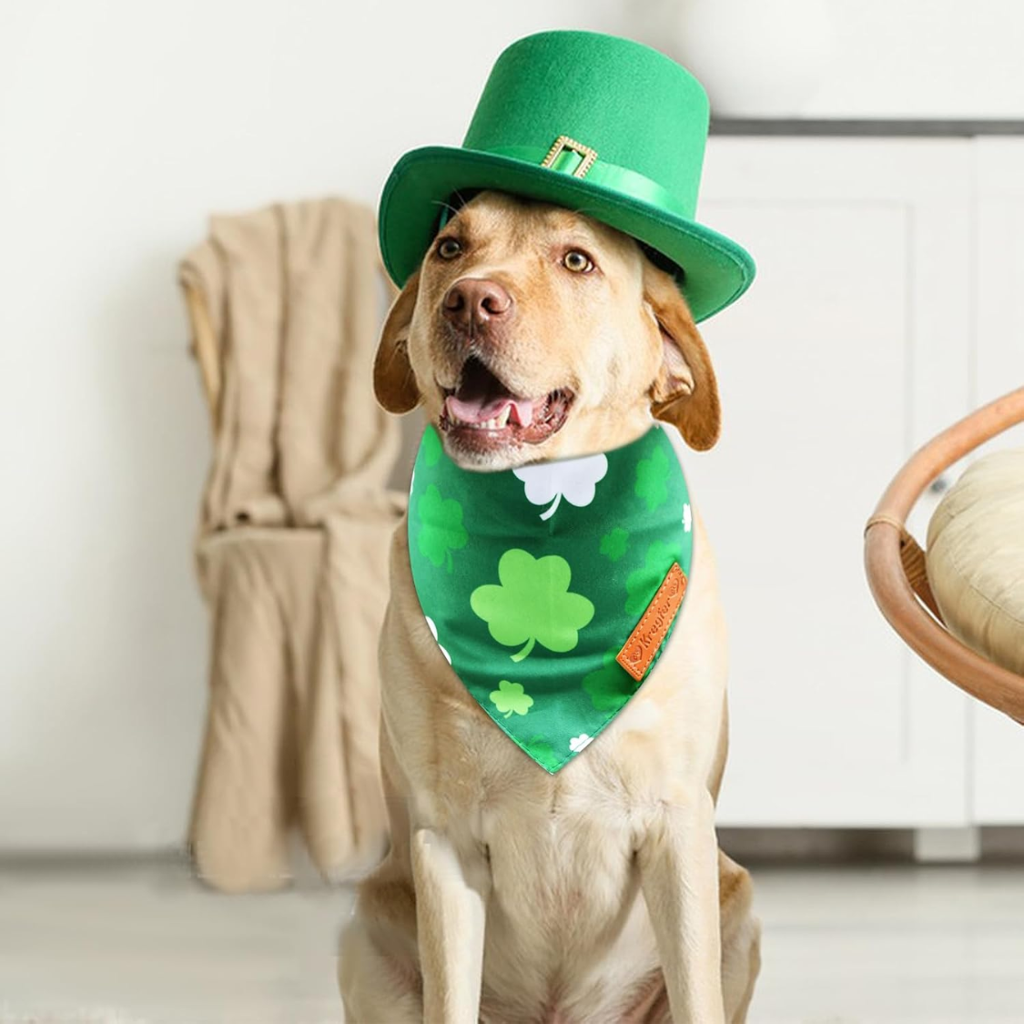 Reversible St. Patrick's Day Dog Bandanas Set - Green Shamrock Design, Double-Sided