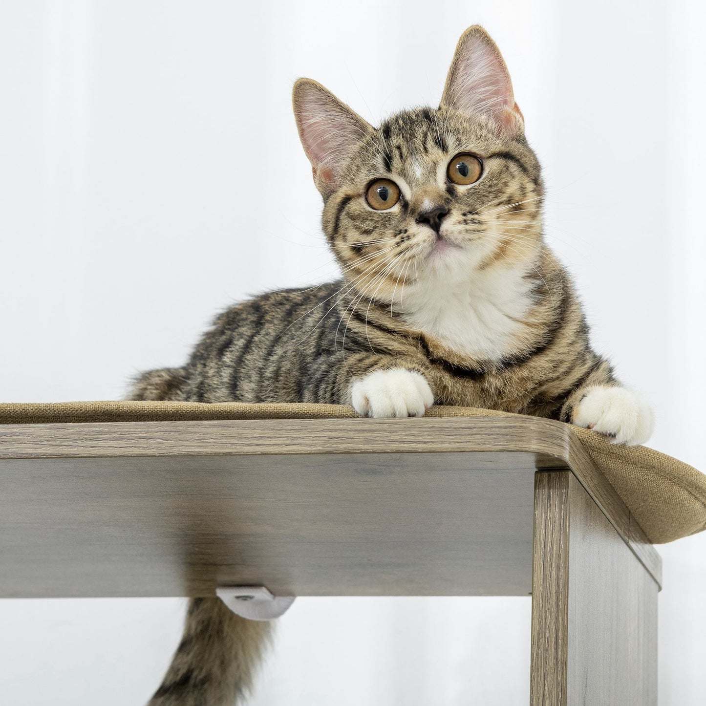 65-Inch Modern Corner Cat Tree Tower with Scratching Posts for Indoor Cats - Cream White