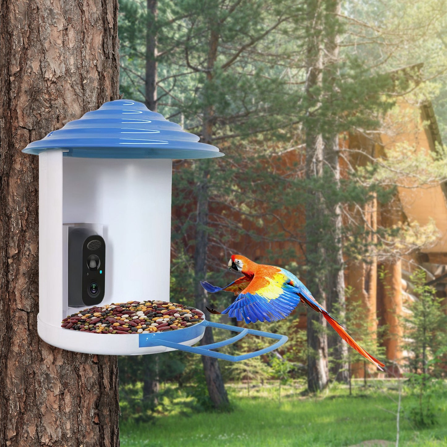 Wireless Bird Feeder with HD Camera Solar Power Night Vision App Control