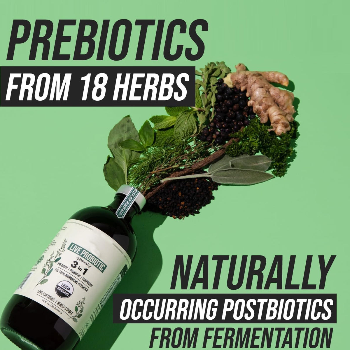 Active Probiotics Supplement – Multiple Sizes