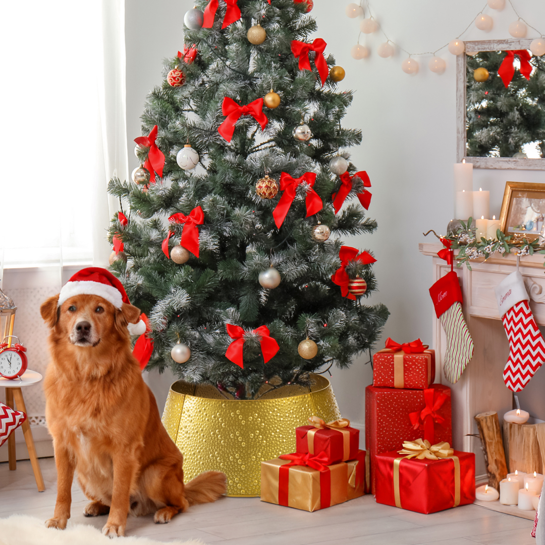 Metal Christmas Tree Collar - Durable Waterproof Tree Base Cover