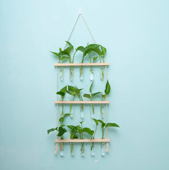 Hydroponic Glass Test Tube Rack with Wooden Stand - Modern Minimalist Decor