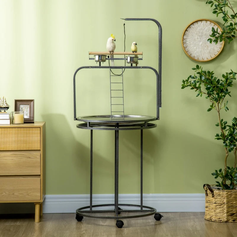 Large Bird Perch Stand with Toy Hook for Parrots and Birds - Gray