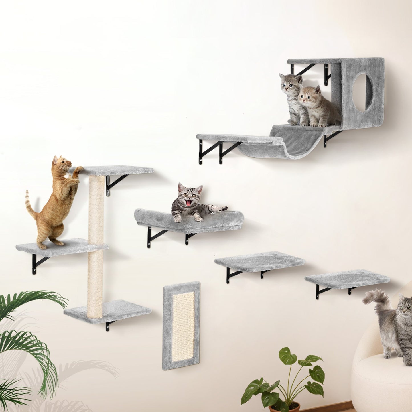 Wall Mounted Cat Shelves Tree Set with Jump Boards Hammock Sofa & Grip - 6 Pieces