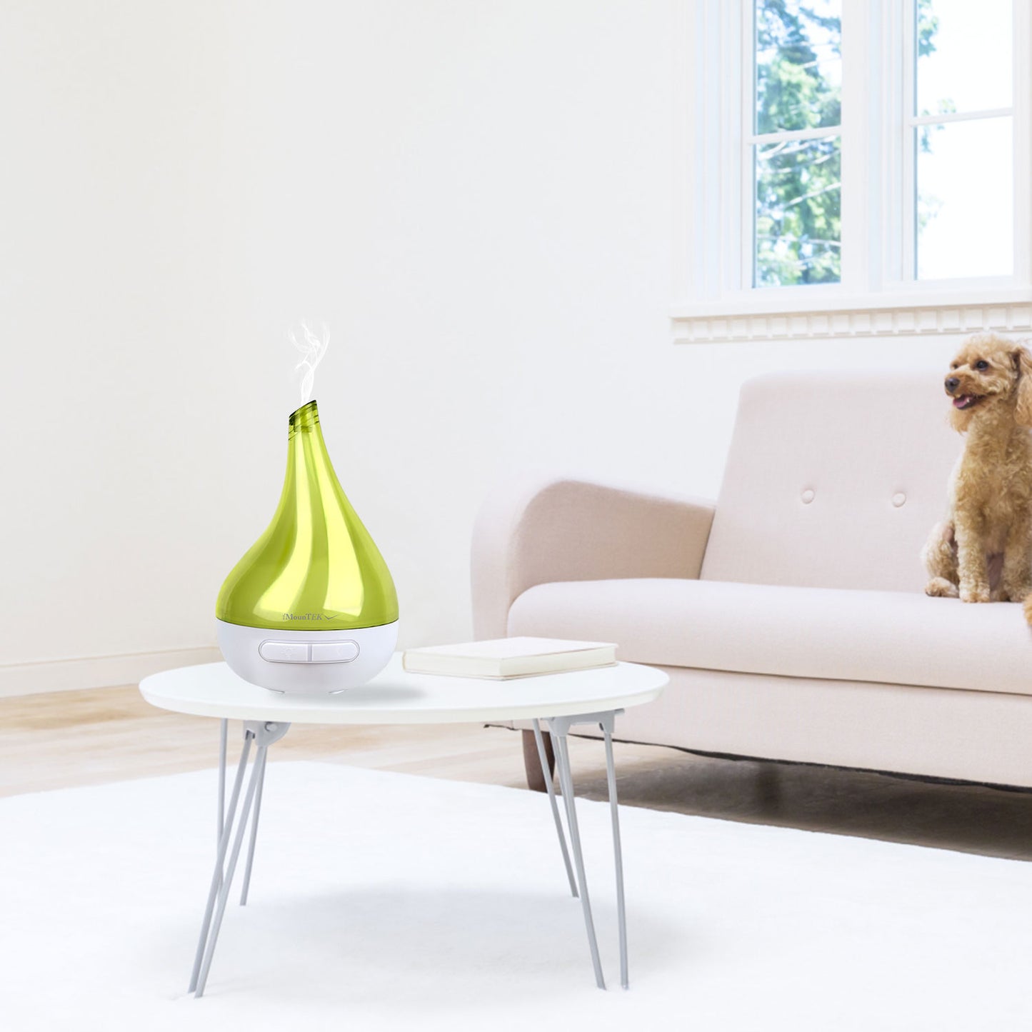 Aroma Diffuser & Humidifier - Ultrasonic Essential Oil Diffuser with LED Light - Green