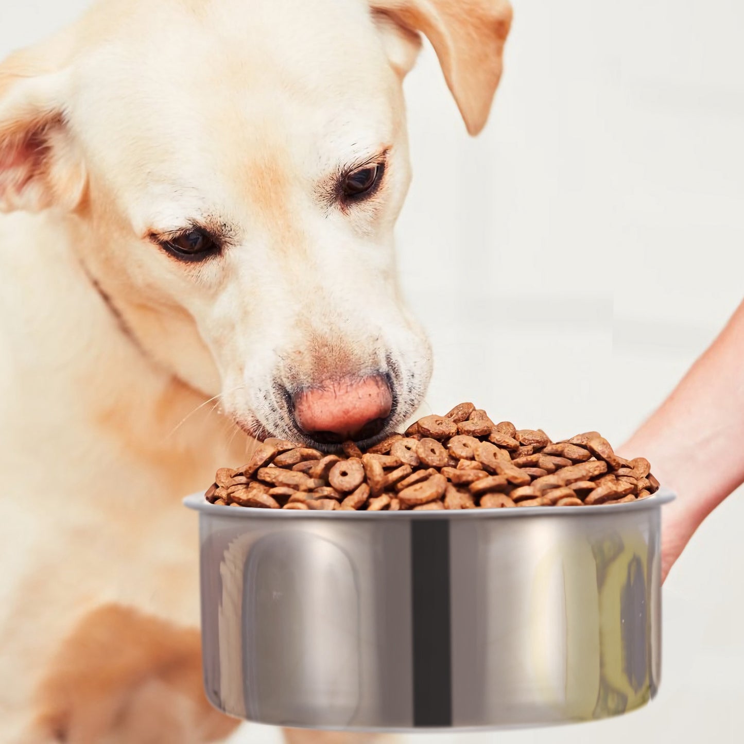 Stainless Steel Dog Bowls with Clamp Holder - Detachable Food & Water Dish for Cages