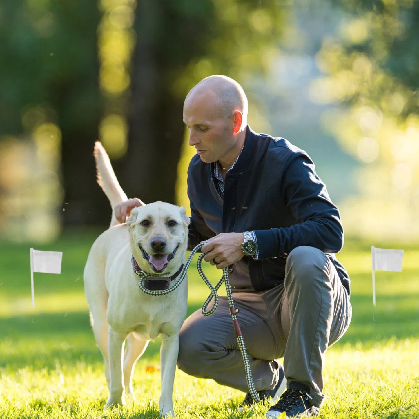 Electric Dog Fence System with Water-Resistant Collar for Small to Large Dogs
