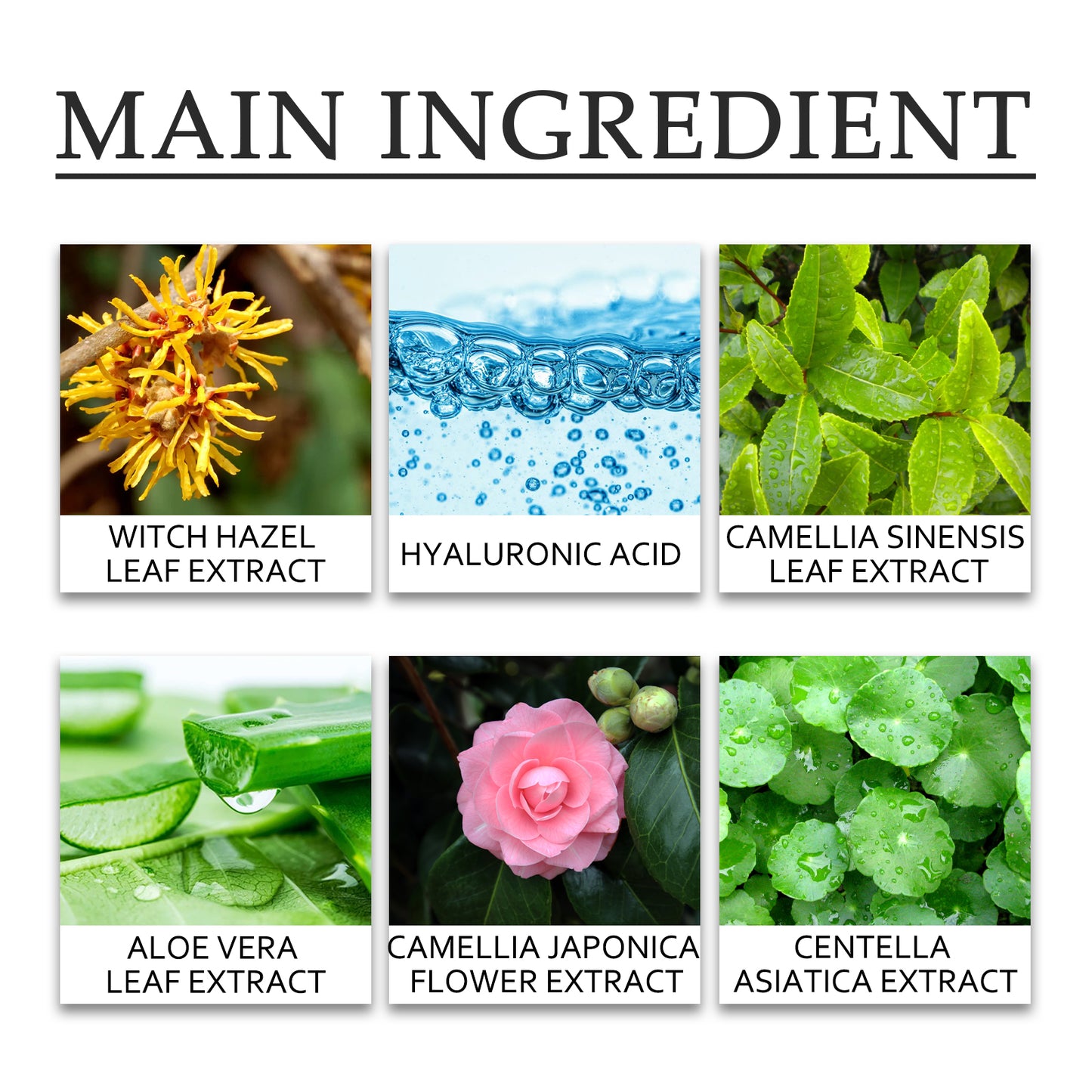 Green Tea Deep Cleansing Mud Mask - Blackhead Removing & Hydrating Facial Care