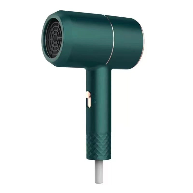 High Power Negative Ion Hair Dryer with Folding Handle and Multiple Settings