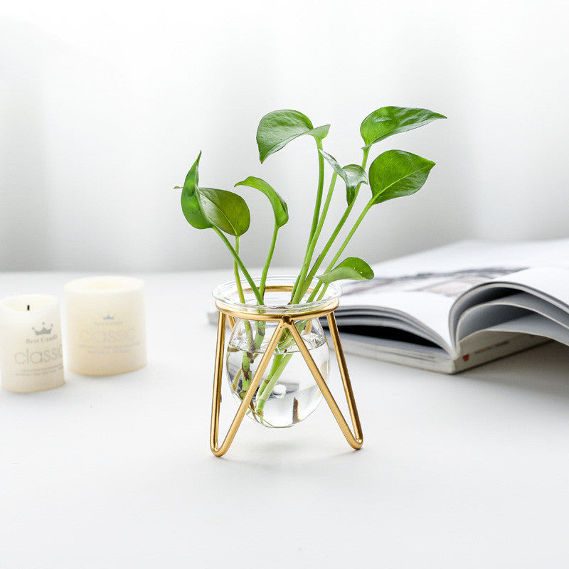 Decorative Hydroponic Vase with Metal Test Tube for Living Room & Dining Table - Black & Gold