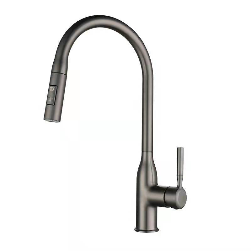 Copper Kitchen Faucet with Pull-Out Spout Double Water Outlet Rotatable