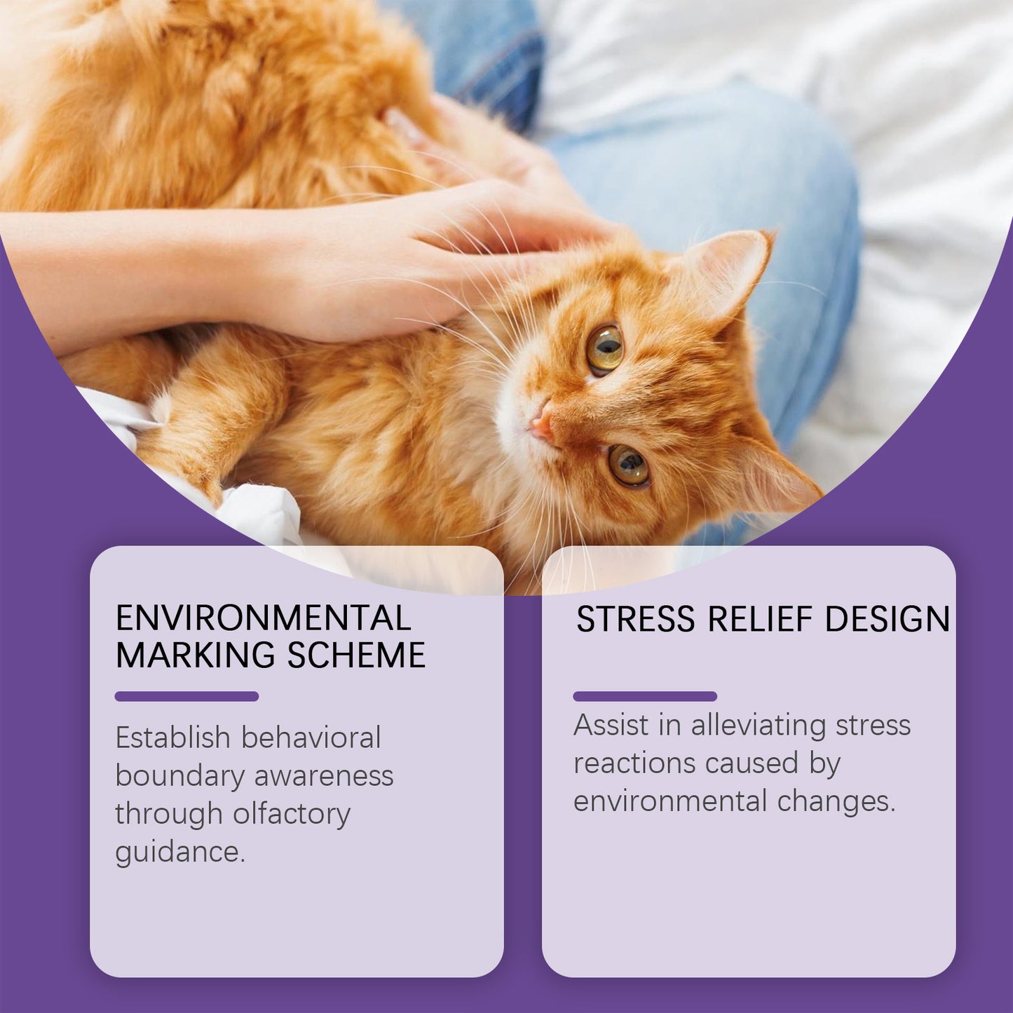 Calming Cat Spray - 60ML Anxiety Relief & Behavior Support