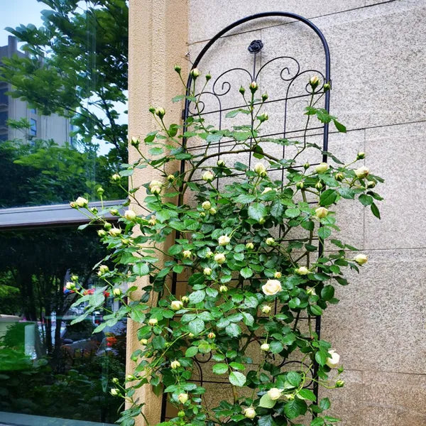 Metal Garden Trellis for Climbing Plants - 86.7" x 19.7" - Black