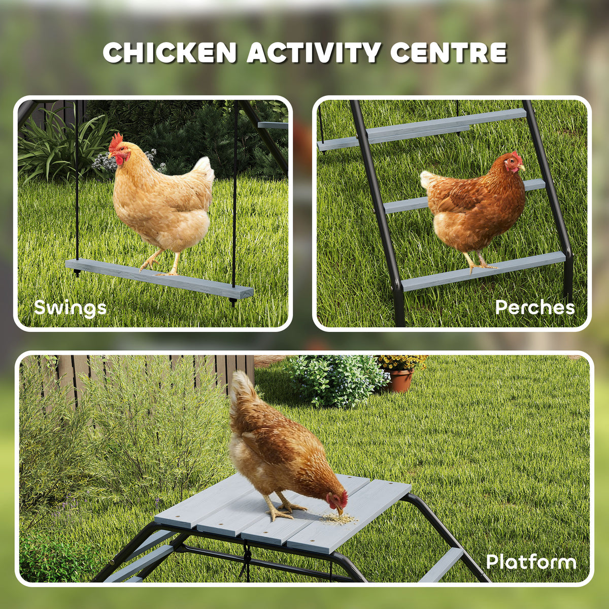 Adjustable Chicken Coop Perch with Swing - 10 Rails for Backyard Farm