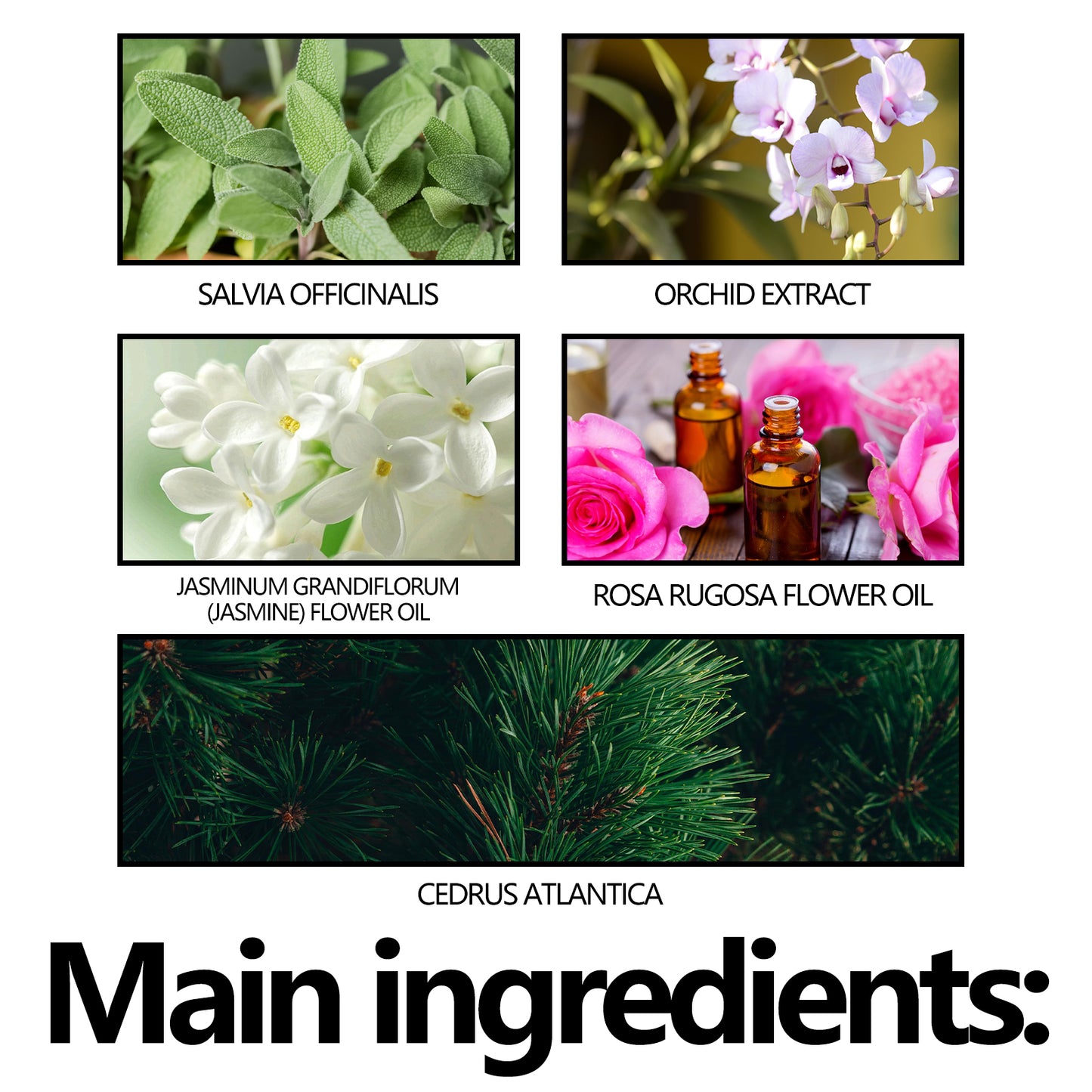 Long-Lasting Armpit Deodorant Stick - Refreshing Odor Control Body Care