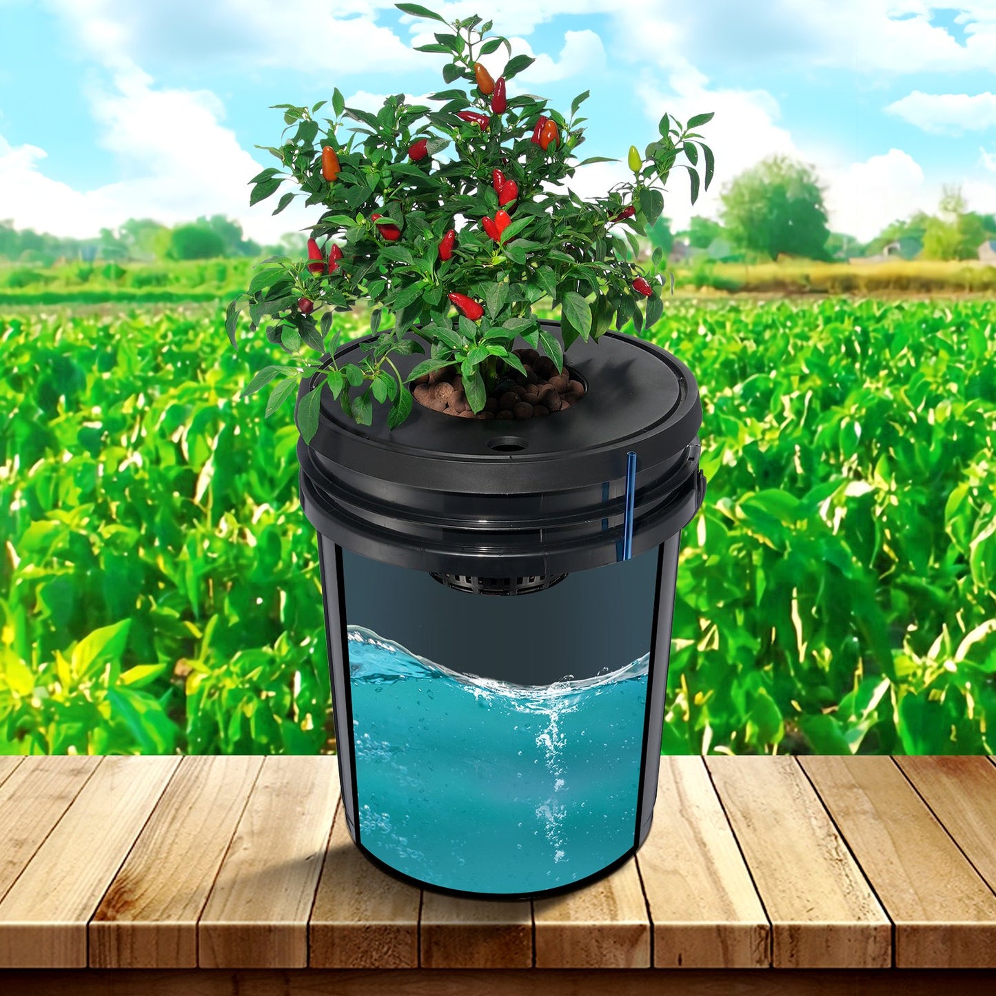 Hydroponic DWC System 5 Gallon Buckets with Pump & Air Stone for Indoor Outdoor Gardening
