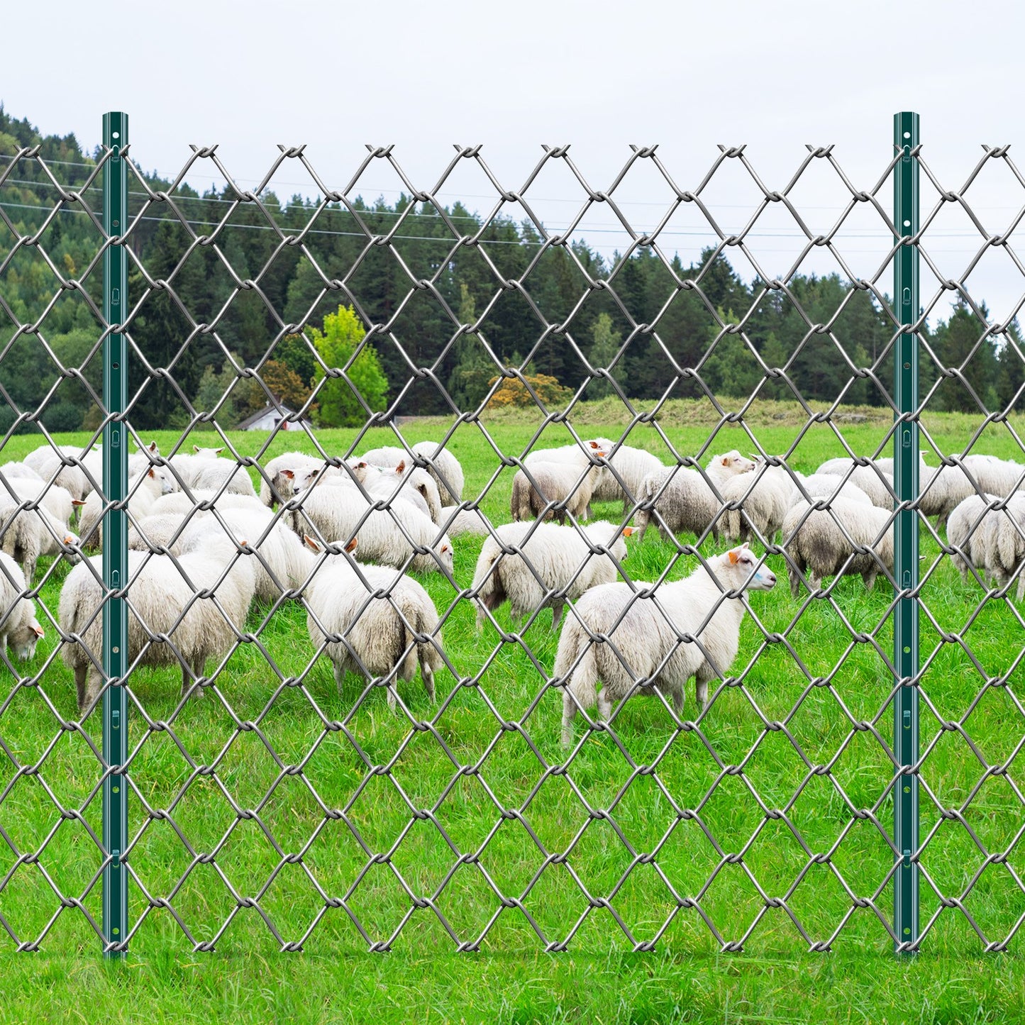 Heavy Duty 4 Feet Metal Fence Post Pack of 10 - Green Garden Fence Support