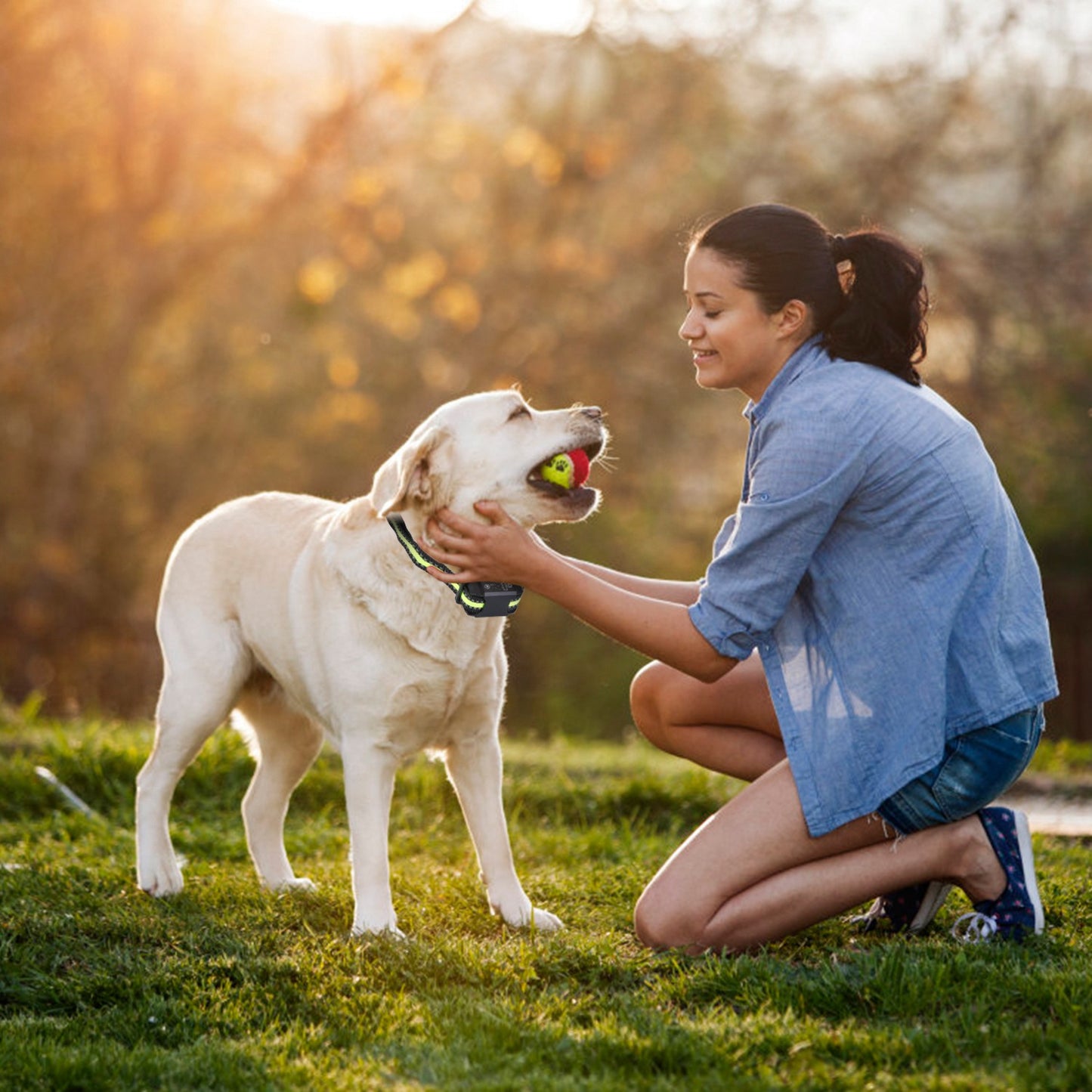 Rechargeable Waterproof Dog Bark Collar with Beep Vibration Static Modes