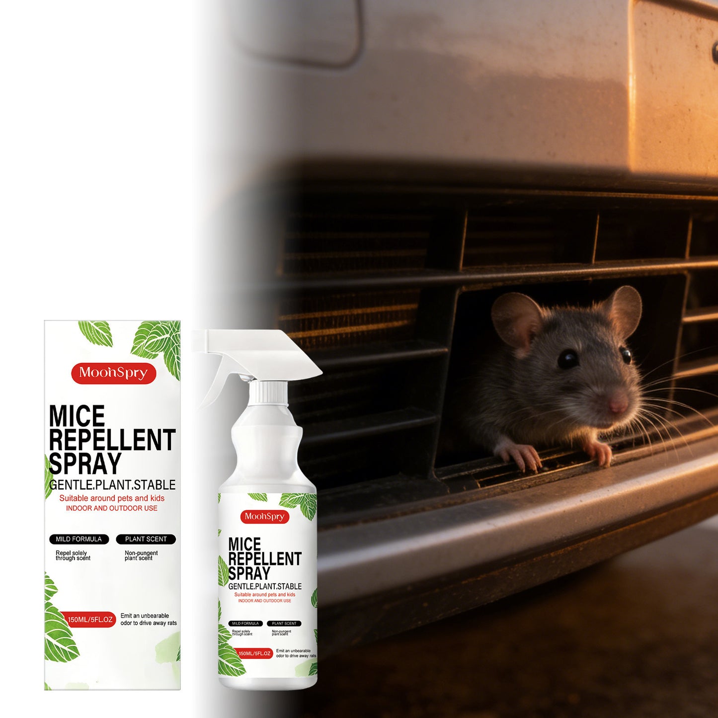 Rat Repellent Spray – Natural Insect & Rodent Control, 150ML