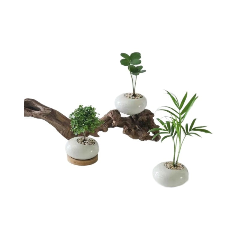 Mini Ceramic Flower Pot with Crackle Glaze - Indoor Garden Planter