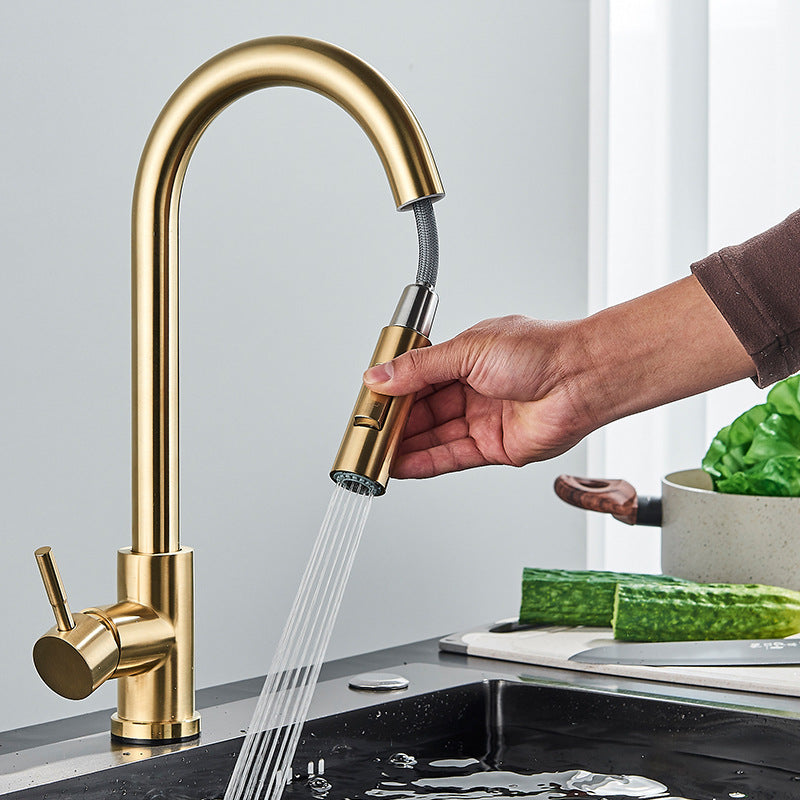 304 Stainless Steel Kitchen Pull-Out Faucet with Multiple Finish Options