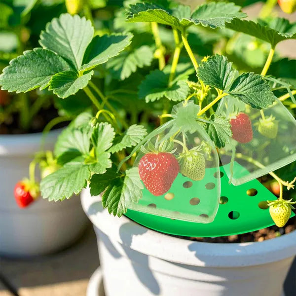 8-Piece Strawberry Planting Kit with Supports & Insect-Proof Bags