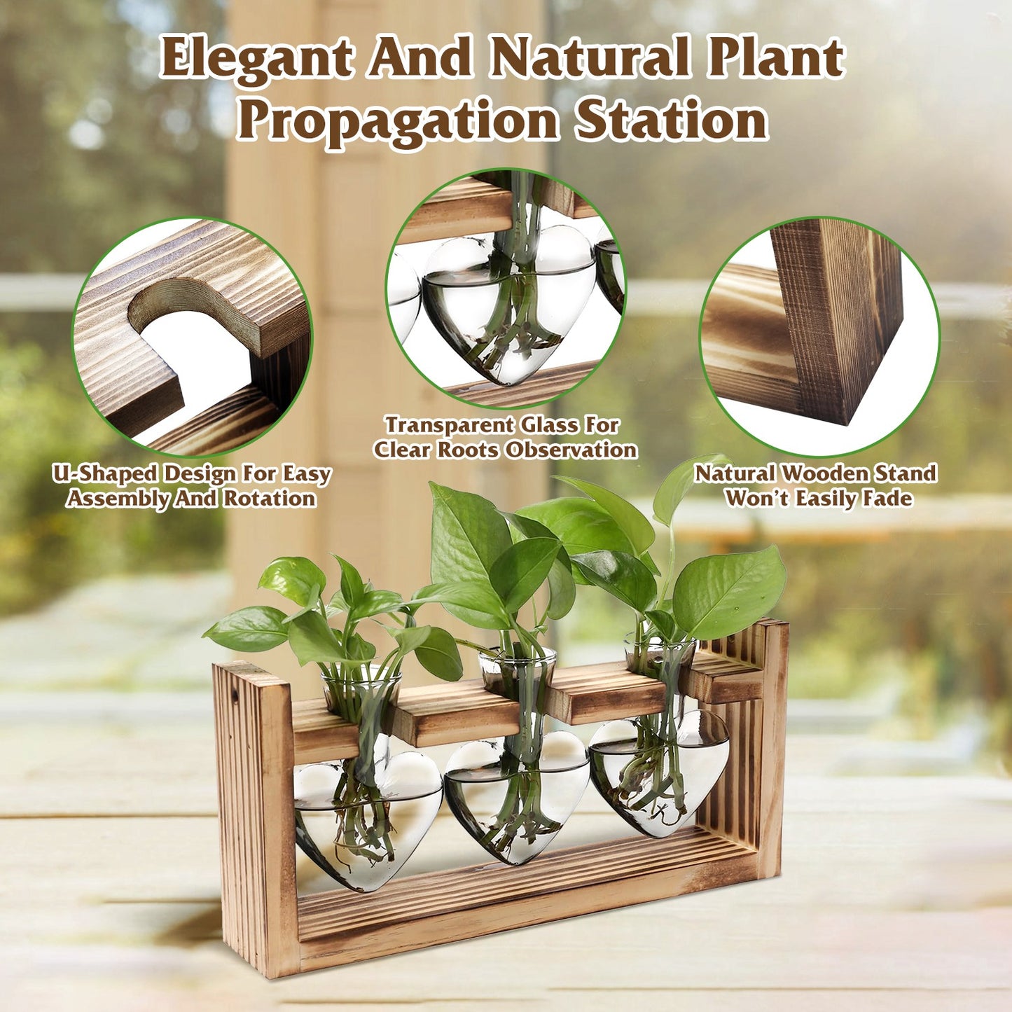 Heart-Shaped Plant Propagation Station with Wooden Stand