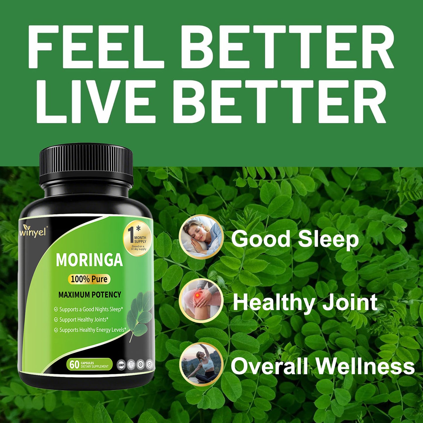 Pure Moringa Leaf Capsules - High Potency Nutrient-Dense Supplement - 60 Count