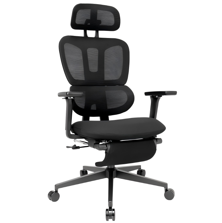 Ergonomic Office Chair with Footrest & Dynamic Lumbar Support