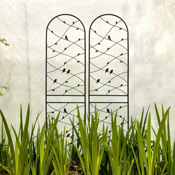 Metal Garden Trellis 86.7" x 19.7" - 2 Pack for Climbing Plants, Black