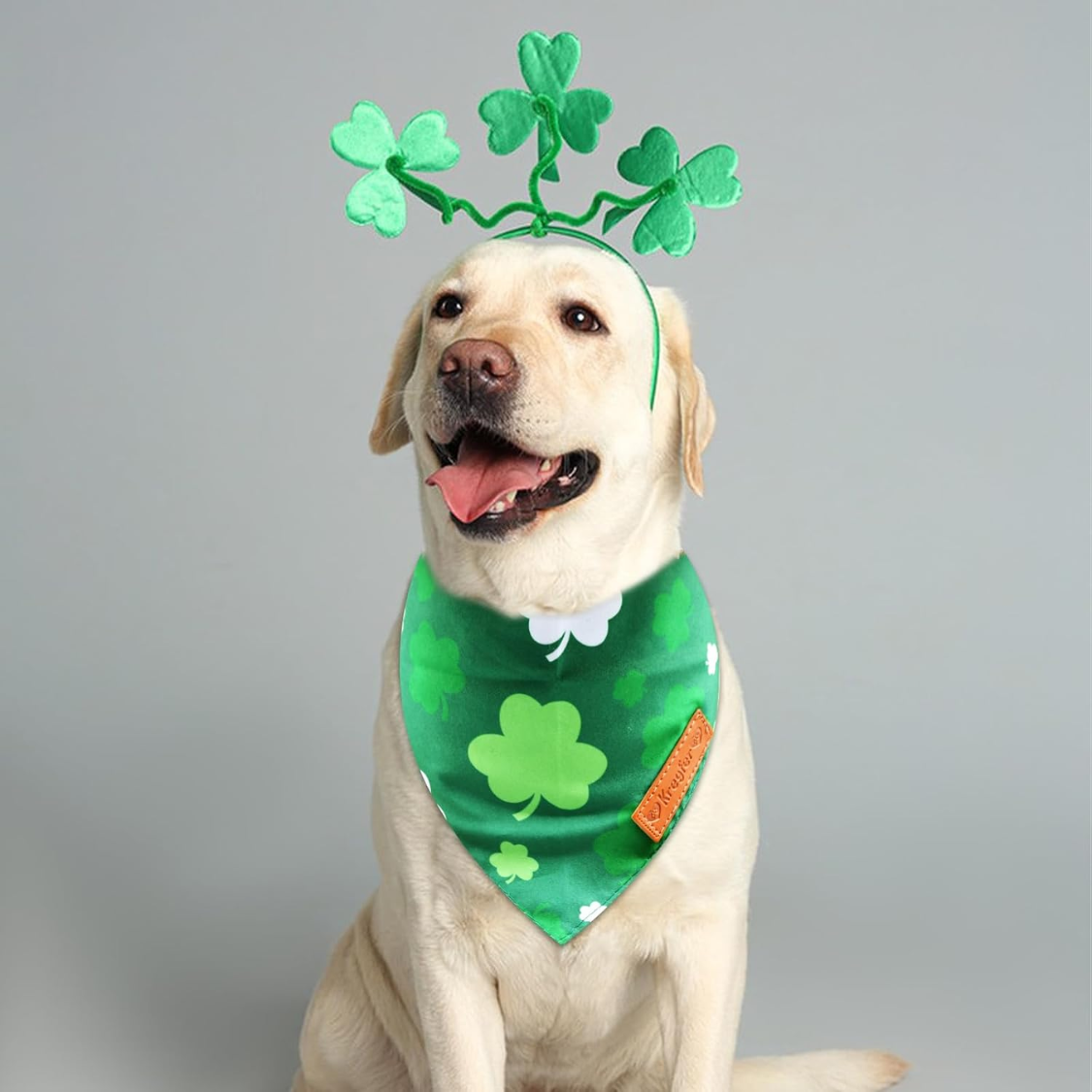 Reversible St. Patrick's Day Dog Bandanas Set - Green Shamrock Design, Double-Sided